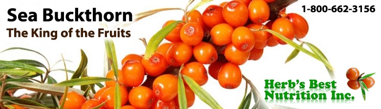 Sea Buckthorne Berry
